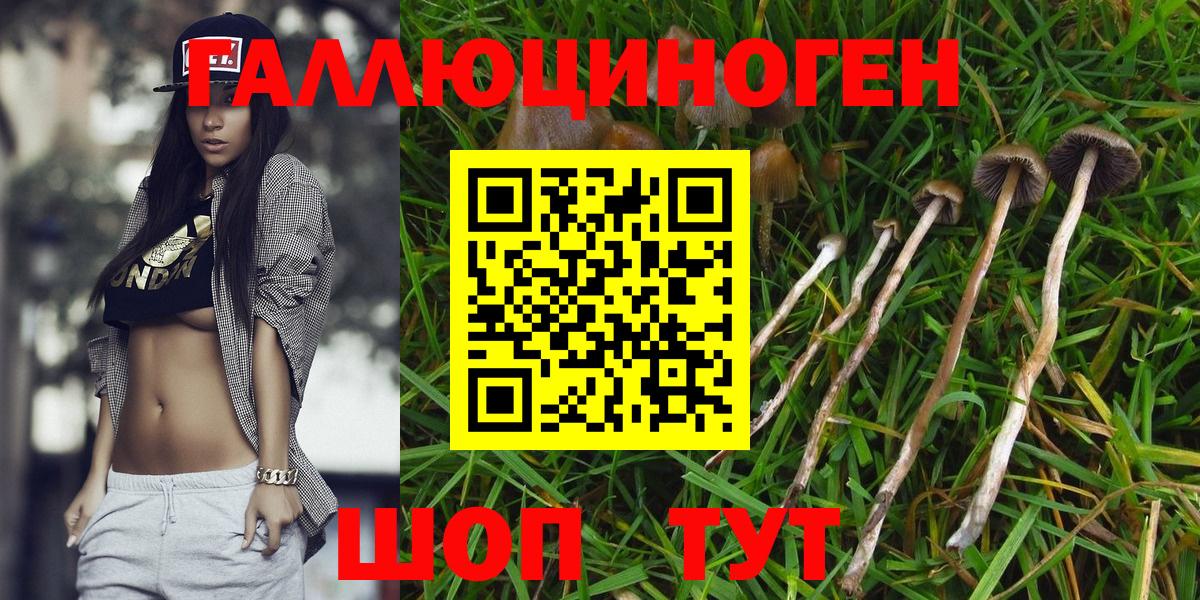 Галлюциногенные грибы MAGIC MUSHROOMS  магазин    Набережные Челны  Вход с VPN 