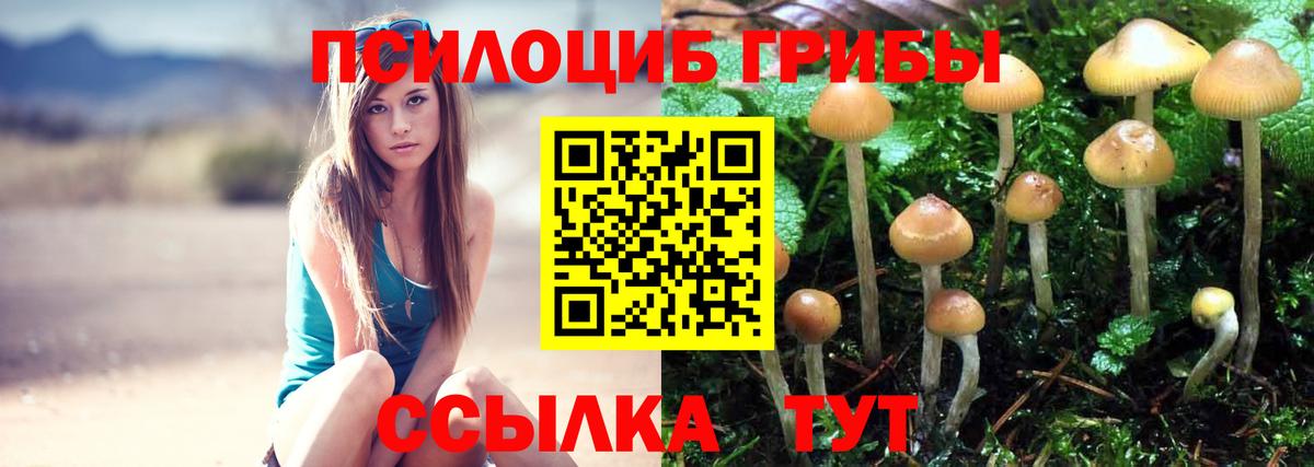 Псилоцибиновые грибы MAGIC MUSHROOMS Набережные Челны